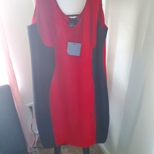 Plus Size Asos BodyCon Dress